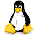 Linux VPS